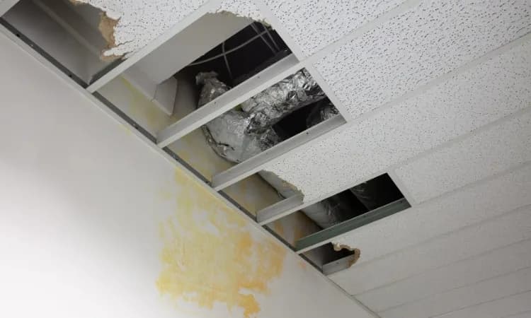 Ceiling Repair